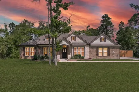 18207 Samie Nell Court Willis TX 77378