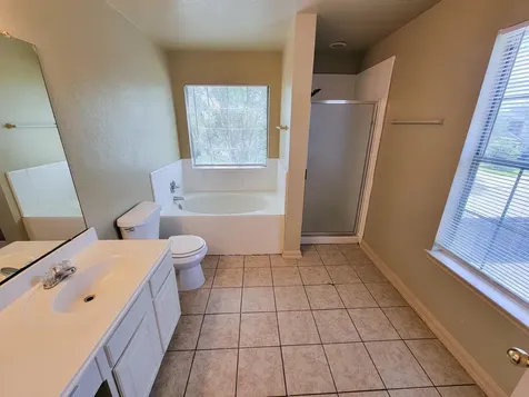 21807 Aspen Mist Lane Katy TX 77449
