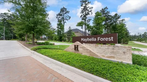 327 Honey Mesquite Path Conroe TX 77318