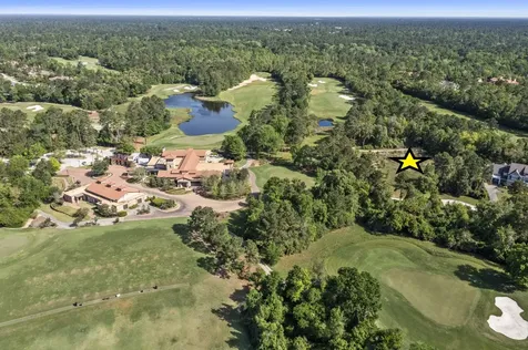 262 S Fazio Way The Woodlands TX 77389