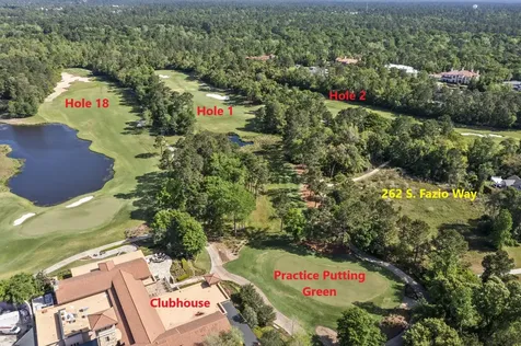 262 S Fazio Way The Woodlands TX 77389