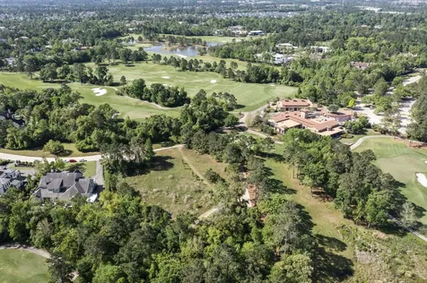 262 S Fazio Way The Woodlands TX 77389