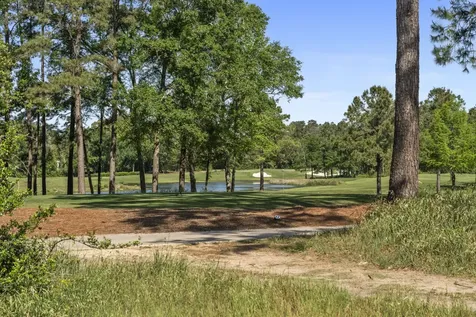 262 S Fazio Way The Woodlands TX 77389
