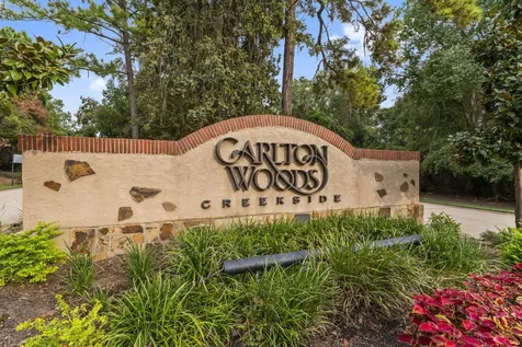262 S Fazio Way The Woodlands TX 77389