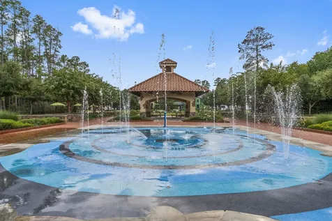 262 S Fazio Way The Woodlands TX 77389