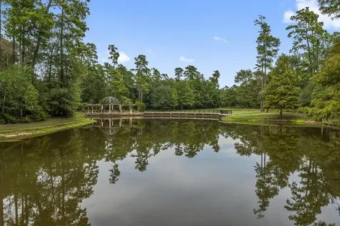 262 S Fazio Way The Woodlands TX 77389