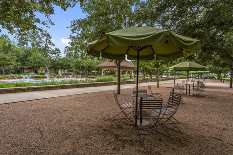 262 S Fazio Way The Woodlands TX 77389