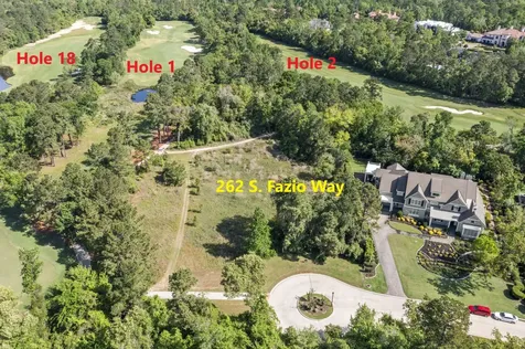 262 S Fazio Way The Woodlands TX 77389