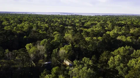 211 Woodstock Livingston TX 77351