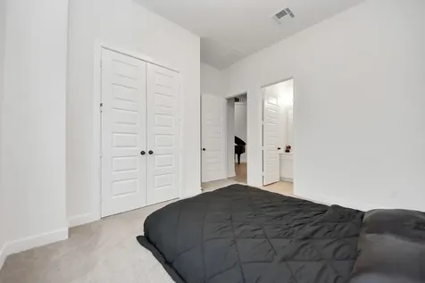 29021 Red Loop Drive New Caney TX 77357