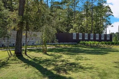 38510 Dancing Pair Way Magnolia TX 77354