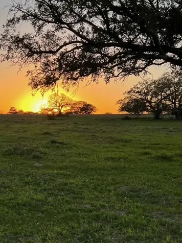 265 Boulton Creek Road Flatonia TX 78941