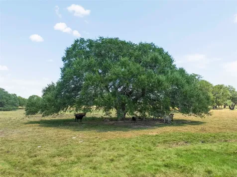 265 Boulton Creek Road Flatonia TX 78941