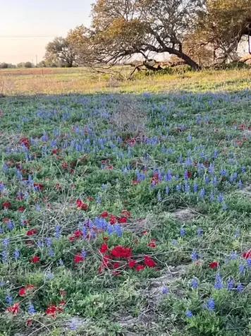 265 Boulton Creek Road Flatonia TX 78941