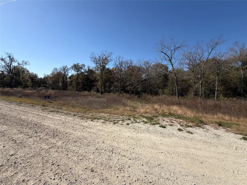 Lot 34 Cr 389 Jewett TX 75846