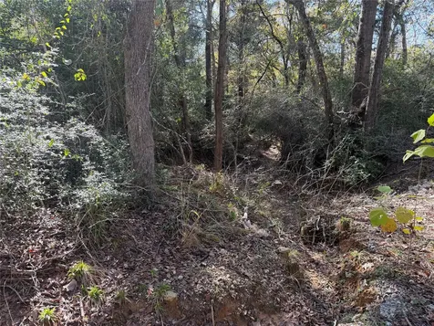 Lot 34 Cr 389 Jewett TX 75846