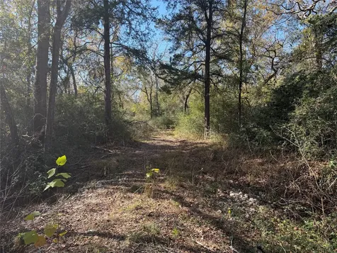 Lot 34 Cr 389 Jewett TX 75846