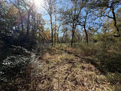 Lot 34 Cr 389 Jewett TX 75846