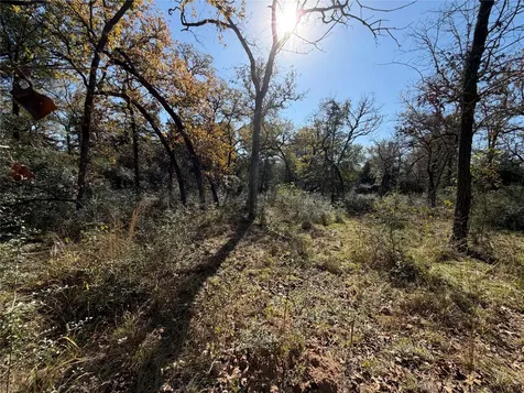 Lot 34 Cr 389 Jewett TX 75846