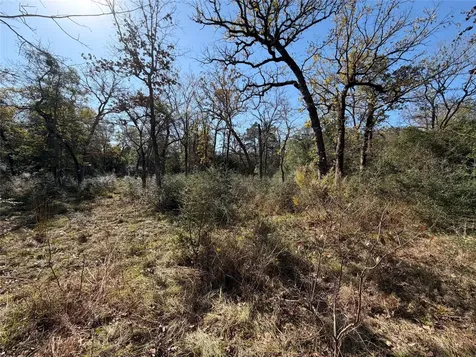 Lot 34 Cr 389 Jewett TX 75846