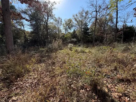 Lot 34 Cr 389 Jewett TX 75846