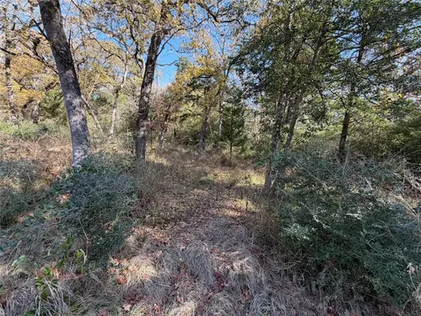 Lot 34 Cr 389 Jewett TX 75846