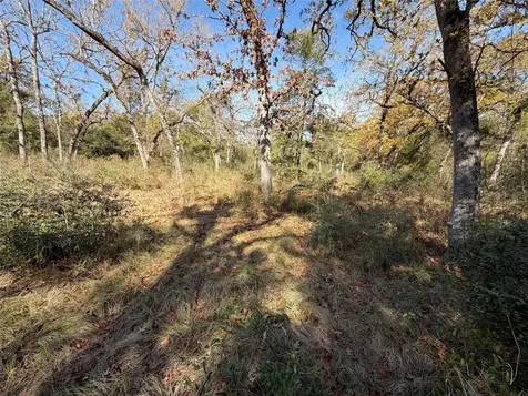 Lot 34 Cr 389 Jewett TX 75846
