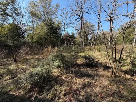 Lot 34 Cr 389 Jewett TX 75846