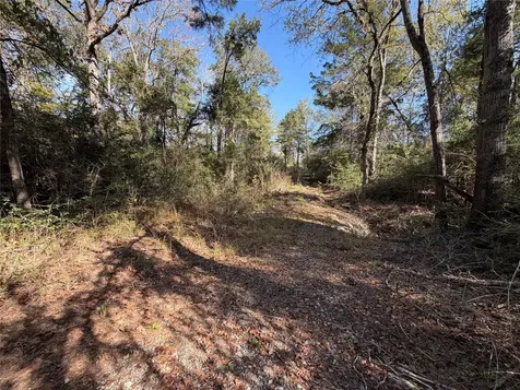 Lot 34 Cr 389 Jewett TX 75846