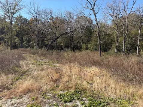Lot 34 Cr 389 Jewett TX 75846