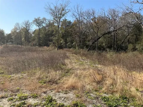 Lot 34 Cr 389 Jewett TX 75846