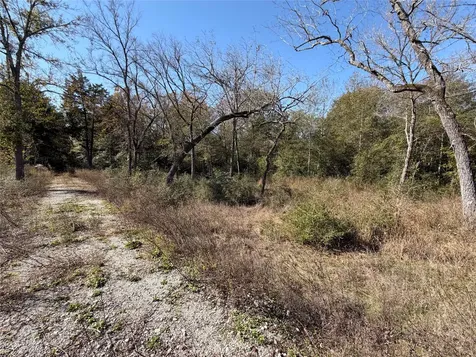 Lot 34 Cr 389 Jewett TX 75846