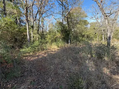 Lot 34 Cr 389 Jewett TX 75846
