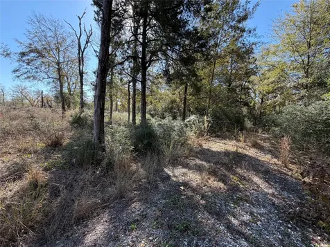 Lot 34 Cr 389 Jewett TX 75846