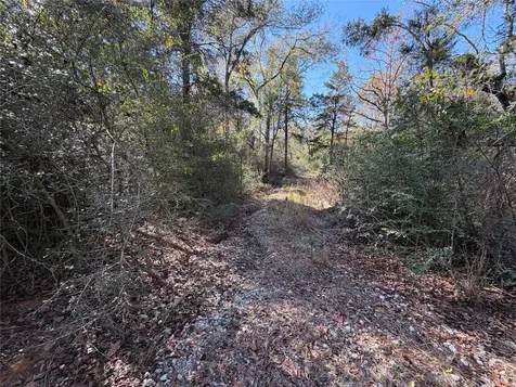 Lot 34 Cr 389 Jewett TX 75846
