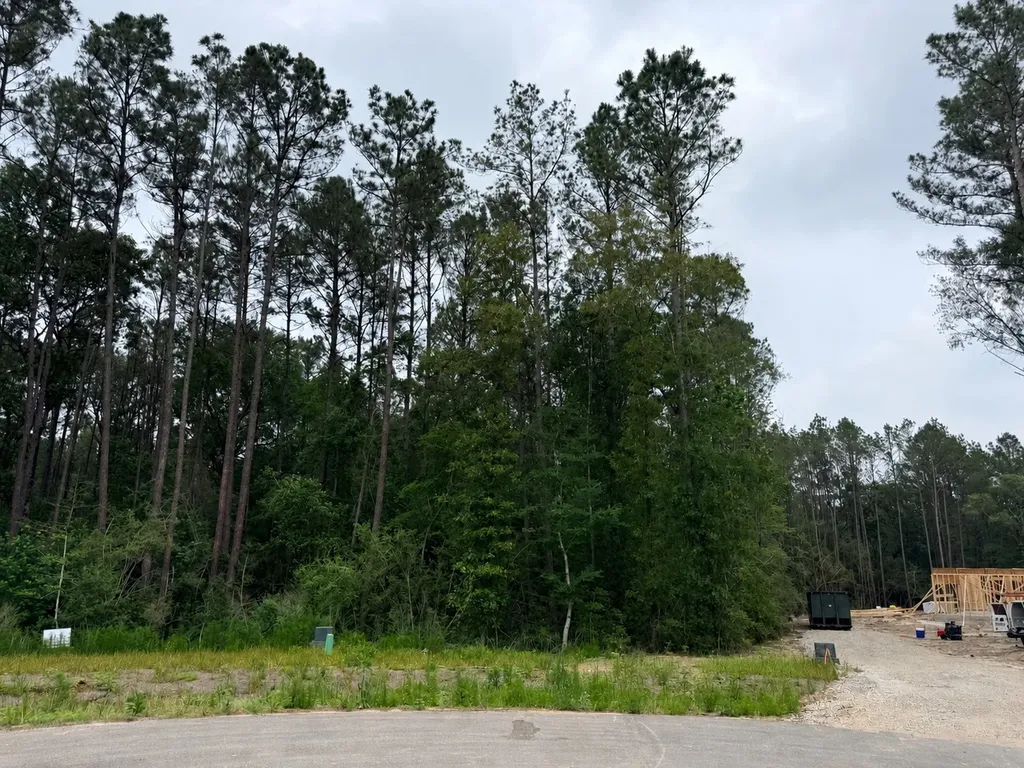 25300 High Meadow West Drive Montgomery TX 77316