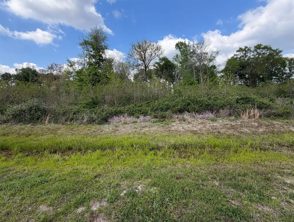 74 County Road 6615 Dayton TX 77535