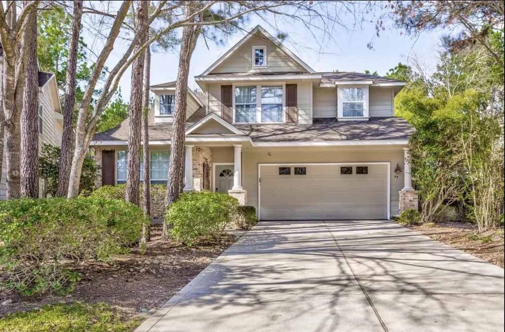 46 Flickering Sun Court The Woodlands TX 77382