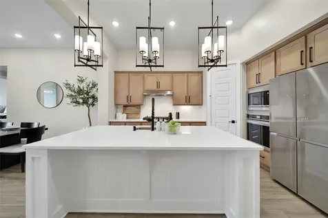 2554 Forbidden Fig Row Manvel TX 77578