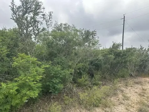 0 County Road 187 Alice TX 78372