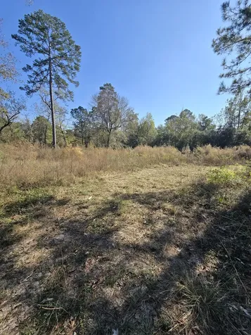 10287 Wanda Lane Montgomery TX 77316