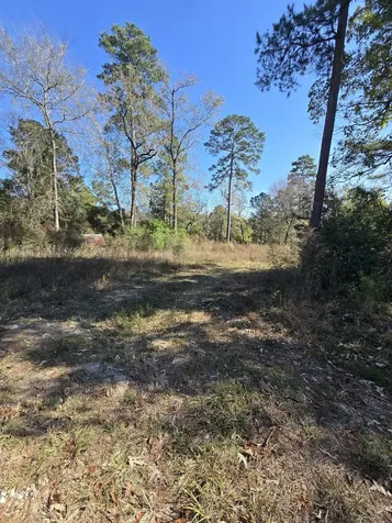 10287 Wanda Lane Montgomery TX 77316