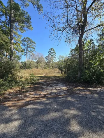 10287 Wanda Lane Montgomery TX 77316