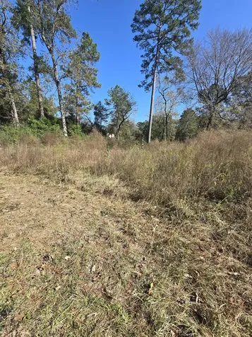 10287 Wanda Lane Montgomery TX 77316