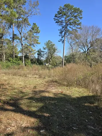 10287 Wanda Lane Montgomery TX 77316