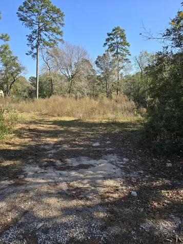 10287 Wanda Lane Montgomery TX 77316