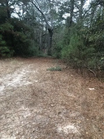 736 Private Road 1284 Road Centerville TX 75833