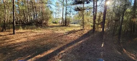 1325 County Road 2650 Rye TX 77369
