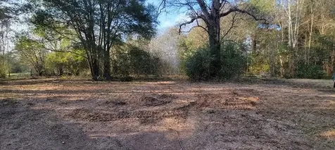 1325 County Road 2650 Rye TX 77369