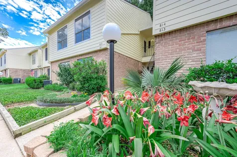 14515 Wunderlich Drive 812 Houston TX 77069